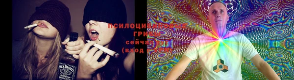 MDMA Вязьма